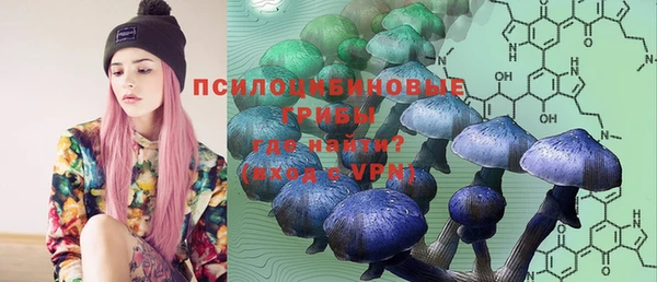 первитин Арсеньев