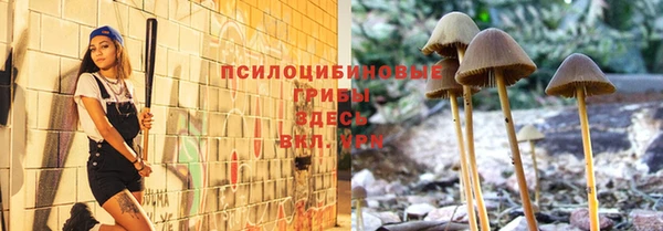 соль ск Пересвет