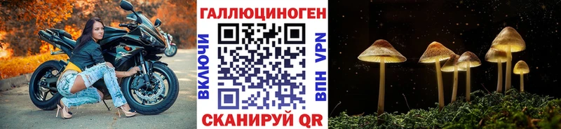 сколько стоит  Чернушка  Псилоцибиновые грибы GOLDEN TEACHER 